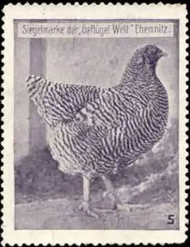 Huhn