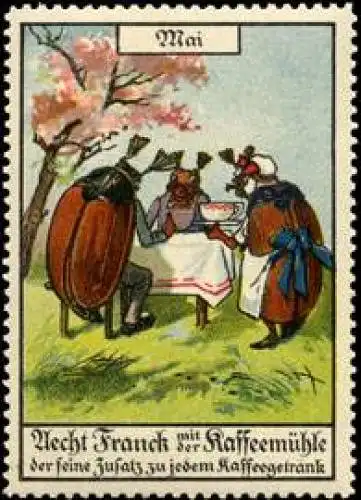 MaikÃ¤fer beim Kaffee - Tierserie Monat Mai