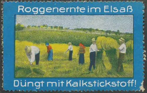 Roggenernte im ElsaÃ