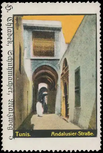 Andalusier StraÃe Tunis