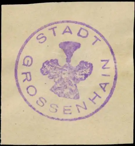 Stadt GroÃenhain