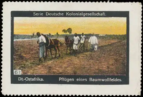 Deutsch-Ostafrika PflÃ¼gen eines Baumwollfeldes