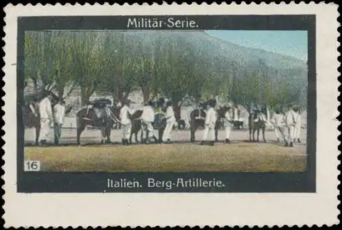 Berg-Artillerie - Italien