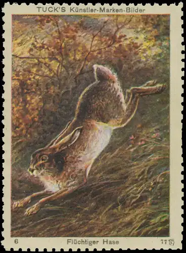 Flüchtiger Hase