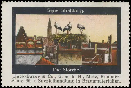 Die StÃ¶rche in StraÃburg