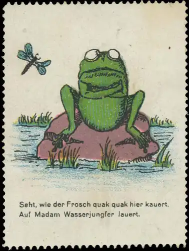 Seht wie der Frosch quak quak hier kauert