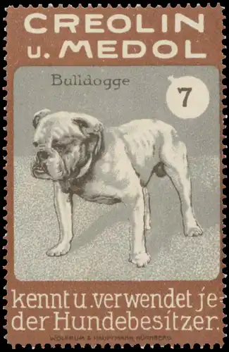 Bulldoge
