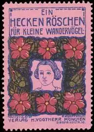 Ein Hecken RÃ¶schen