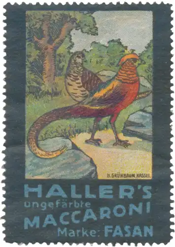 Haller ungefÃ¤rbte Makkaroni Marke Fasan