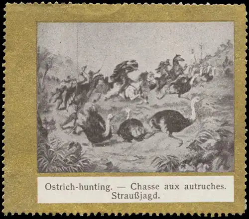 StrauÃjagd