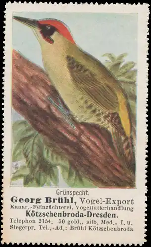 GrÃ¼nspecht
