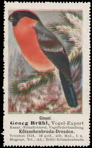 Gimpel