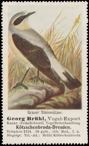 Grauer SteinmÃ¤tzer