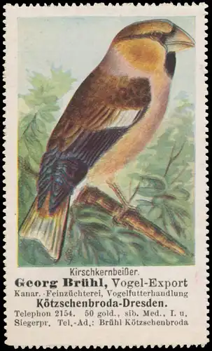 KirschkernbeiÃer