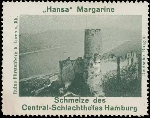 Ruine FÃ¼rstenberg bei Lorch