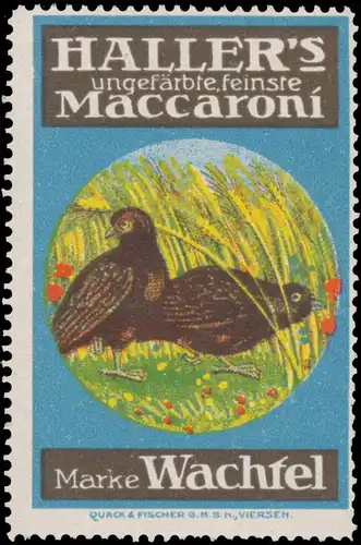 Hallers Maccaroni Marke Wachtel