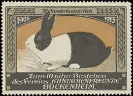 HollÃ¤nderkaninchen