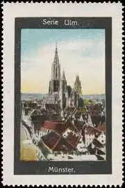MÃ¼nster