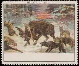 Ãberfallener Elch