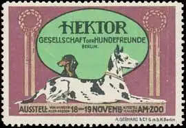 Hunde-Ausstellung