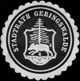 Stadtrath Geringswalde (Schwein)