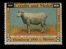 Merino Schaf - Creolin und Medol