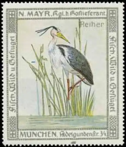 Reiher