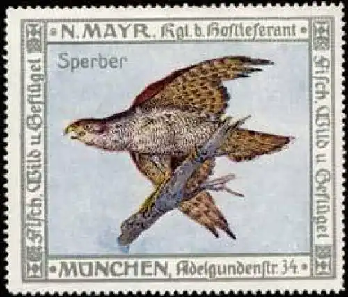 Sperber