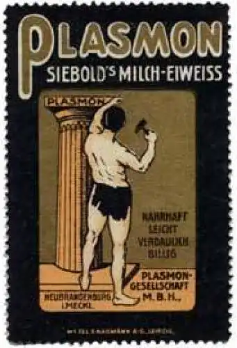 Plasmon Siebolds Milch - Eiweiss