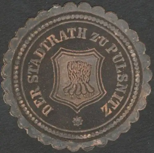 Der Stadtrath zu Pulsnitz