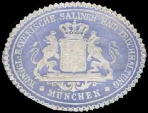 K. Bayer. Salinen-Hauptbuchhaltung