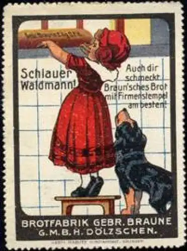 Schlauer Hund Waldmann!