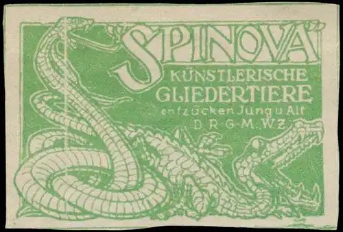 Spinova Spielzeug Gliedertiere