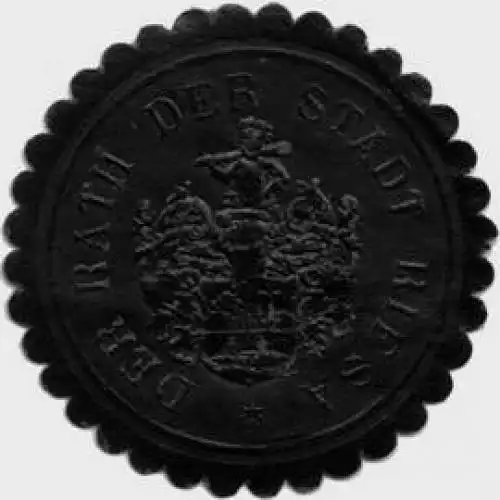 Der Rath der Stadt Riesa