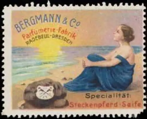 Steckenpferd-Seife