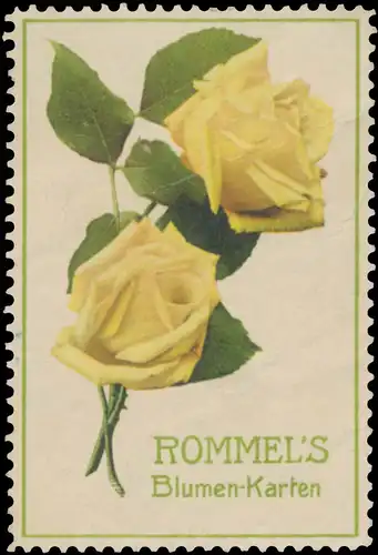 Rommels Blumen-Karten
