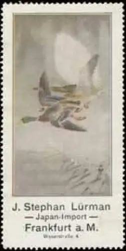 Japan-Import