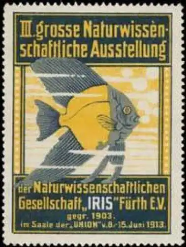 IRIS-Ausstellung