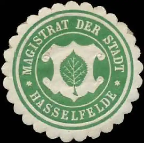 Magistrat der Stadt Hasselfelde