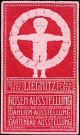 Rosen - Ausstellung