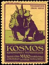 Triceratops - Obere Kreide