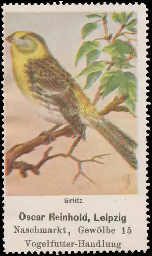Girlitz