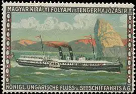 Raddampfer - Dampfer