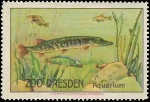 Aquarium