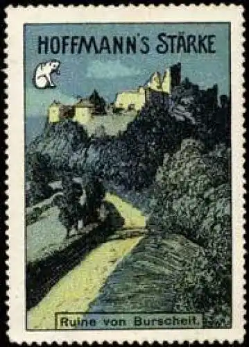 Ruine von Burscheit - StÃ¤rke mit Katze