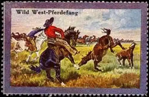 Wild West - Pferdefang