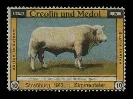 Simmentaler Kuh - Creolin und Medol