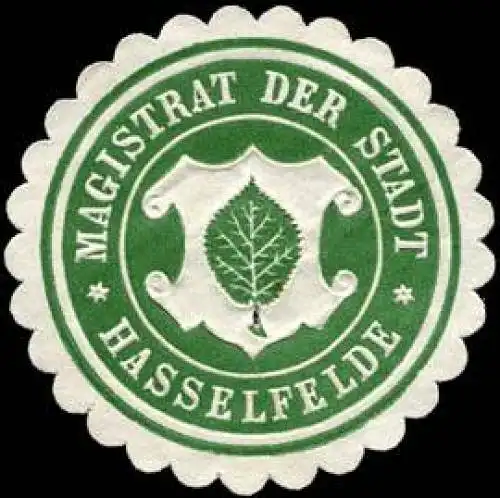 Magistrat der Stadt - Hasselfelde