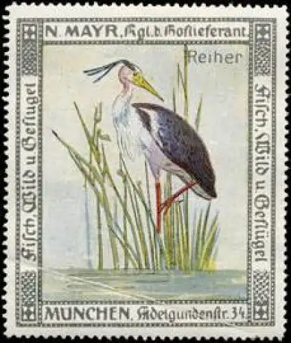 Reiher