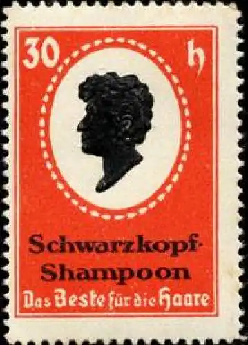 Schwarzkopf-Shampoon HaarwÃ¤sche fÃ¼r den Friseur